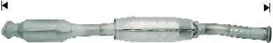 Catalyseur VEGAZ GmbH FK-919