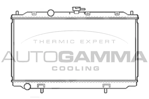Radiateur, refroidissement du moteur AUTOGAMMA 103497