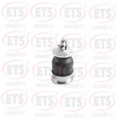 Rotule de suspension ETS 56.BJ.304