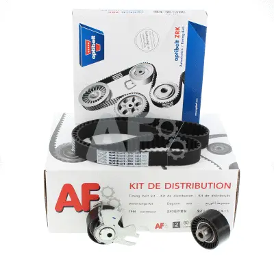 Kit de courroie crantée AUTOMOTOR France PTK31T5
