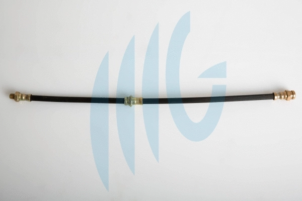 Flexible de frein RICAMBIFLEX GM 02300866