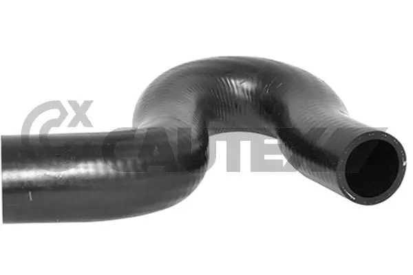 Durite de radiateur CAUTEX 036493