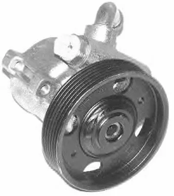 Pompe hydraulique, direction GENERAL RICAMBI PI0339