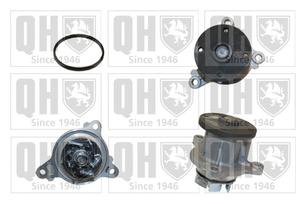 Pompe à eau, refroidissement du moteur QUINTON HAZELL QCP3781