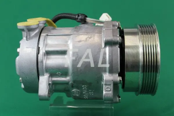 Compresseur, climatisation FAL Anlasser- und Lichtmaschinenservice F002250/1