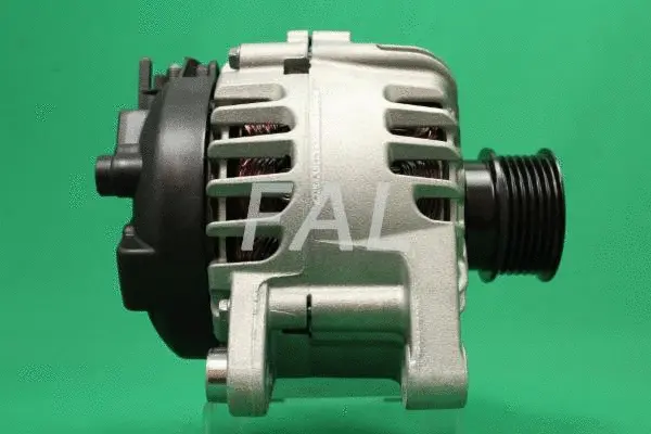 Alternateur FAL Anlasser- und Lichtmaschinenservice F015533/1