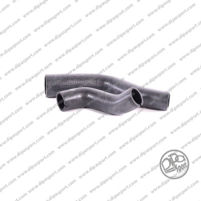 Gaine de suralimentation DIPASPORT HSEKLR028DPSN