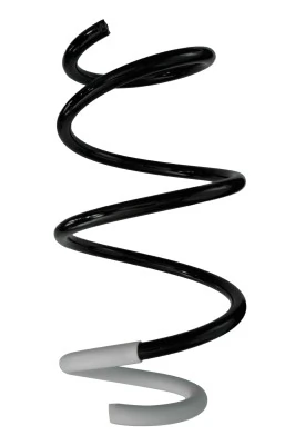 Ressort de suspension SPIDAN 87047