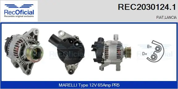 Alternateur RECOFICIAL REC2030124.1