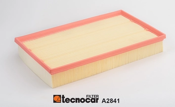 Filtre à air TECNOCAR A2841