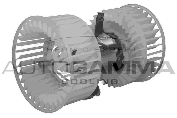 Pulseur d'air habitacle AUTOGAMMA GA20101