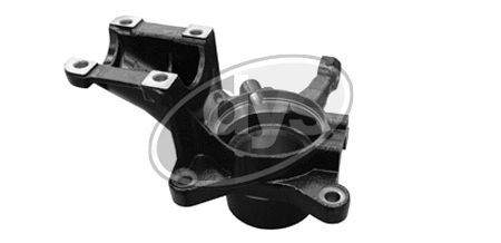Fusée d'essieu, suspension de roue DYS 79-01803R