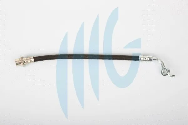 Flexible de frein RICAMBIFLEX GM 02561163