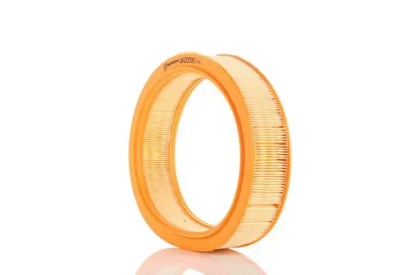 Filtre à air PZL Filters WA20595