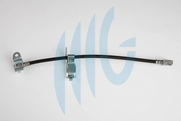 Flexible de frein RICAMBIFLEX GM 02140394