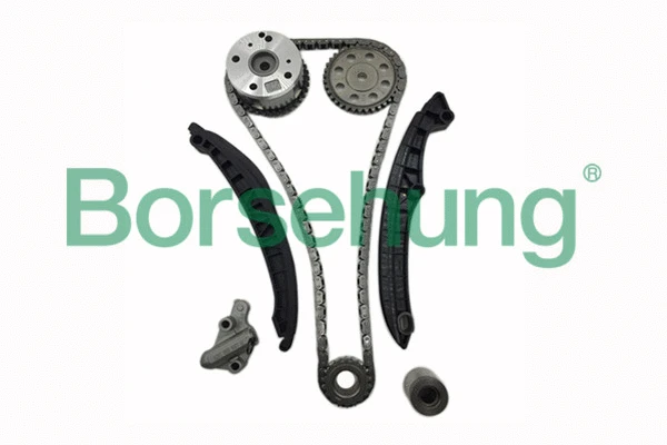 Kit de distribution par chaîne Borsehung B16306