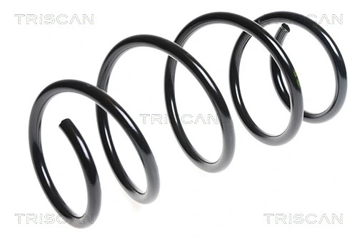 Ressort de suspension TRISCAN 8750 13161