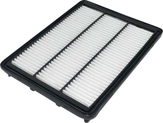 Filtre à air GOODWILL AG 890