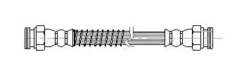 Flexible de frein Technika 23237