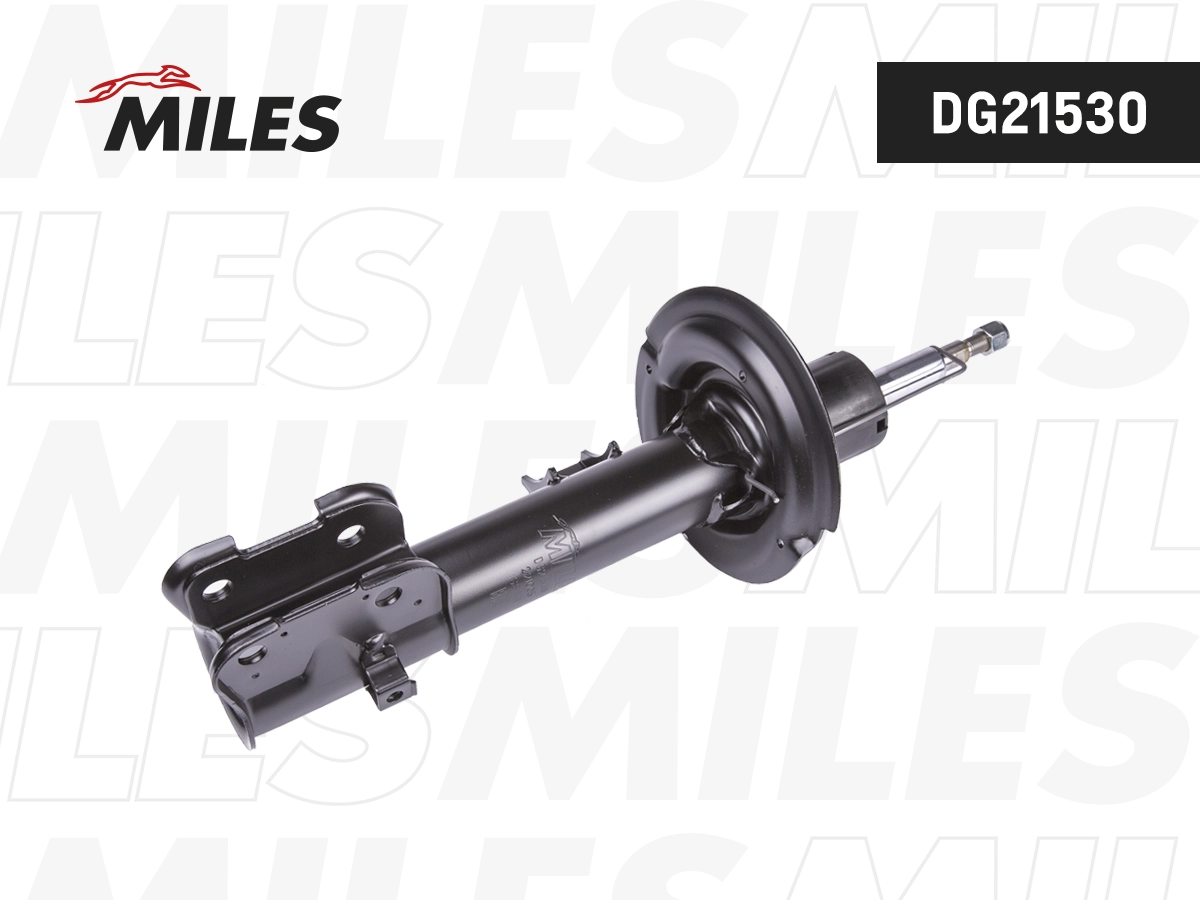 Amortisseur MILES DG21530