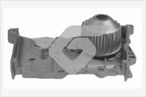 Pompe à eau, refroidissement du moteur HUTCHINSON WP43