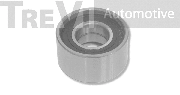 Poulie renvoi/transmission, courroie crantée TREVI AUTOMOTIVE TD1255
