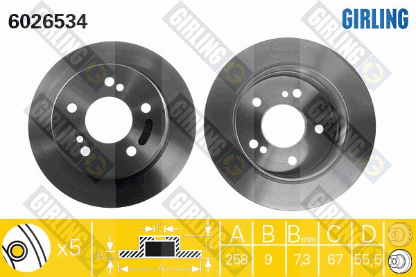 Disque de frein GIRLING 6026534