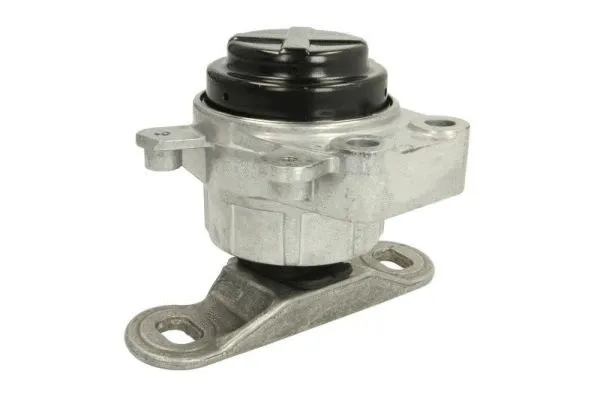 Support moteur REINHOCH RH11-4039