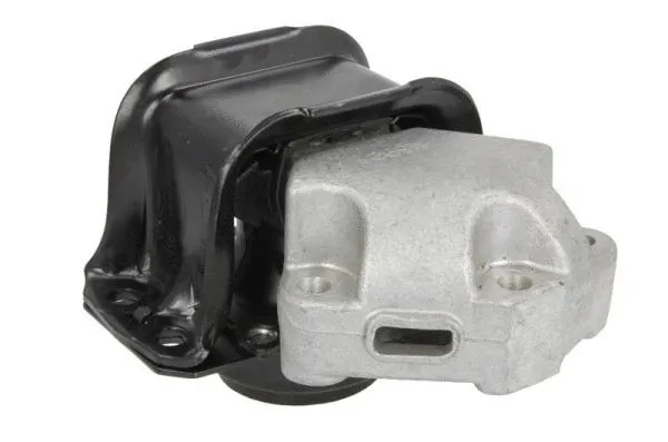 Support moteur REINHOCH RH11-2089