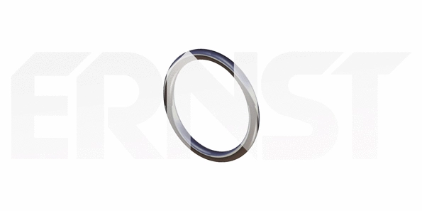 Bague d'étanchéité, tuyau d'échappement ERNST 493789