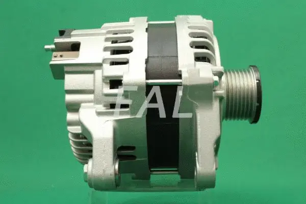 Alternateur FAL Anlasser- und Lichtmaschinenservice F015425/1