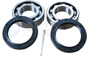 Kit de roulements de roue Professional Parts 77435765
