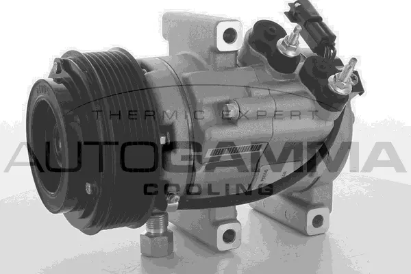Compresseur, climatisation AUTOGAMMA 118593