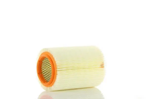 Filtre à air PZL Filters WA20900