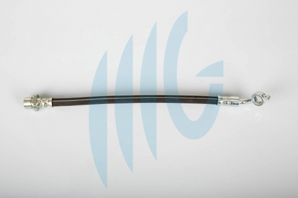 Flexible de frein RICAMBIFLEX GM 02561158