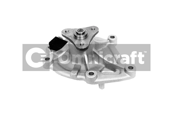 Pompe à eau, refroidissement du moteur Omnicraft 2316921