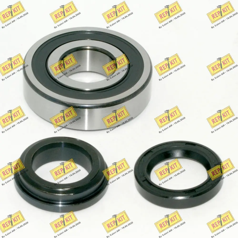 Kit de roulements de roue REPKIT RKB1225