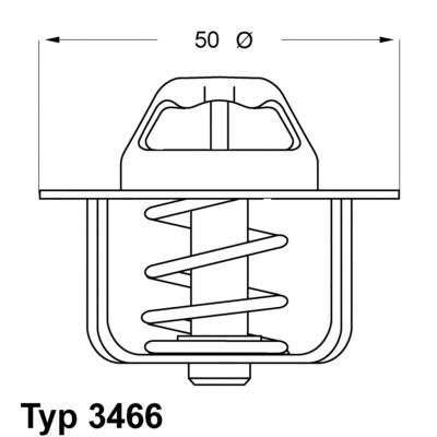 Thermostat, liquide de refroidissement BorgWarner (Wahler) 3466.89D