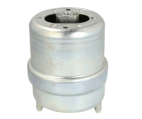 Support moteur MTR 12162529