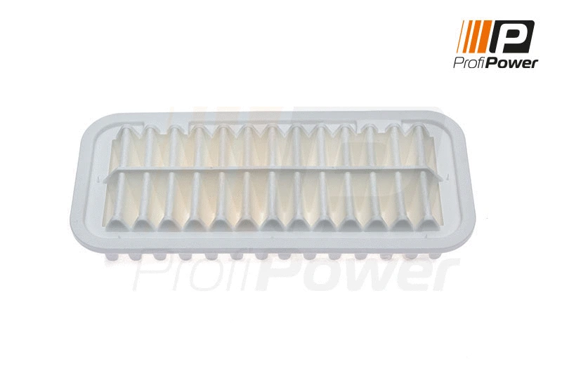 Filtre à air ProfiPower 2F0027