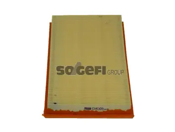 Filtre à air FRAM CA4309