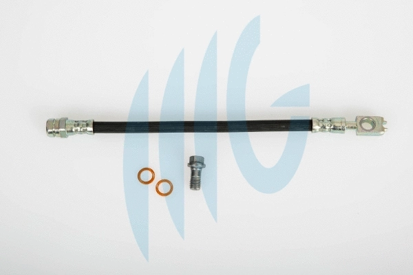 Flexible de frein RICAMBIFLEX GM 02020154