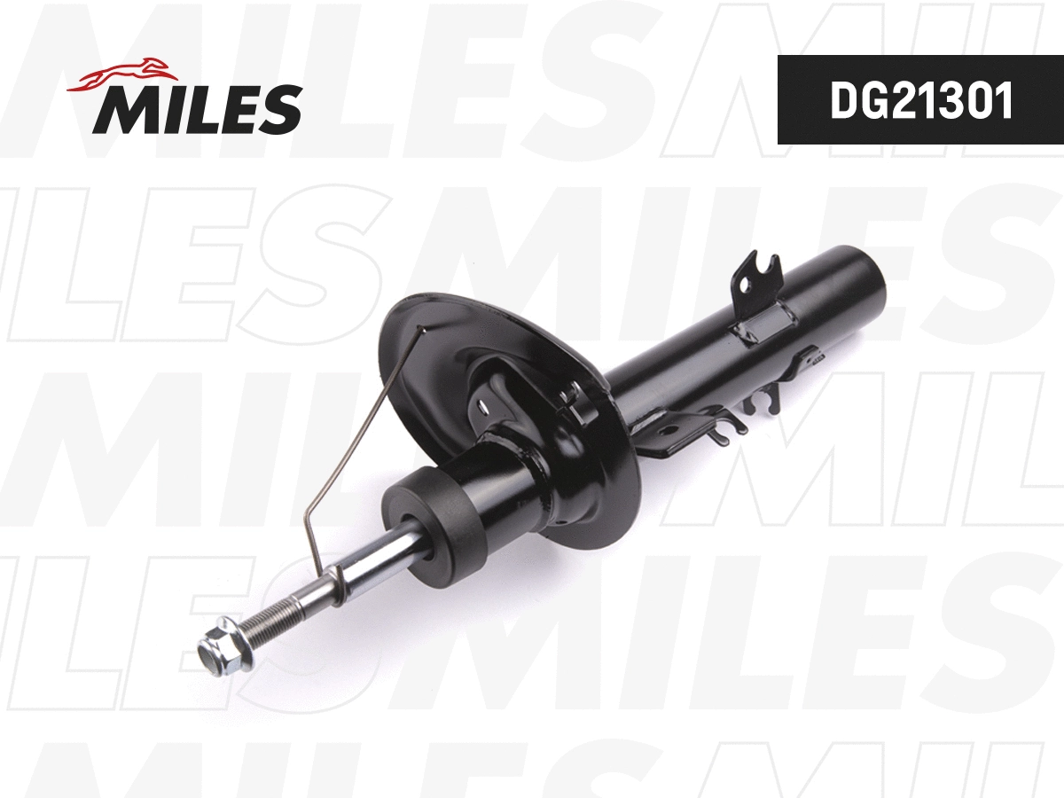 Amortisseur MILES DG21301