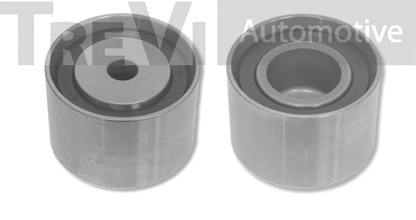 Poulie renvoi/transmission, courroie crantée TREVI AUTOMOTIVE TD1698