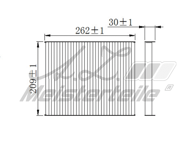 Filtre, air de l'habitacle A.Z. Meisterteile AZMT-41-010-1545