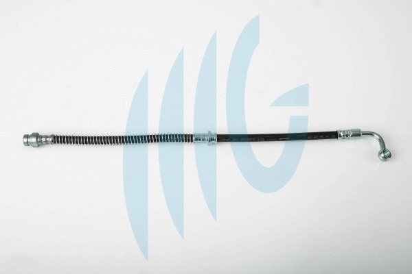Flexible de frein RICAMBIFLEX GM 02190012