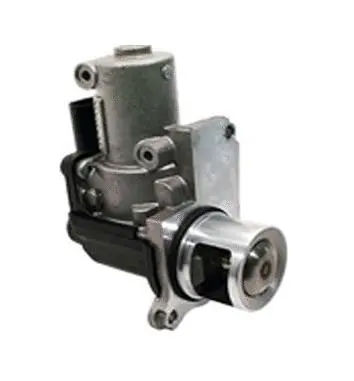 Vanne EGR ASSO 70.0018
