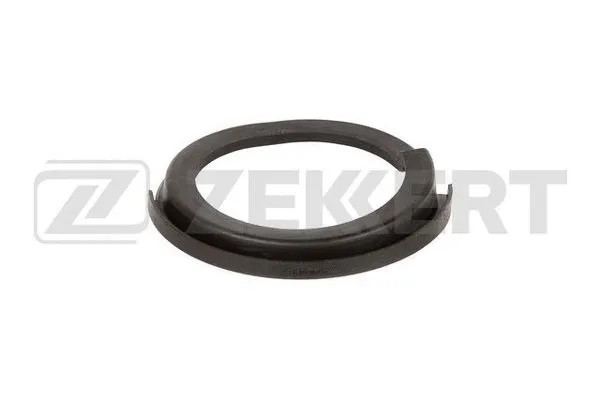 Patin de ressort ZEKKERT GM-1654