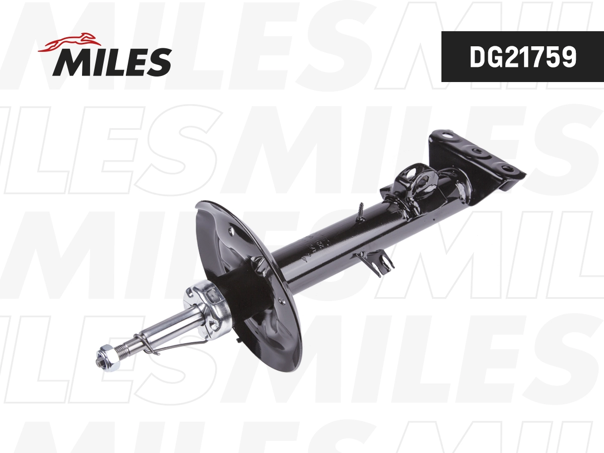 Amortisseur MILES DG21759