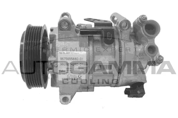 Compresseur, climatisation AUTOGAMMA 118372